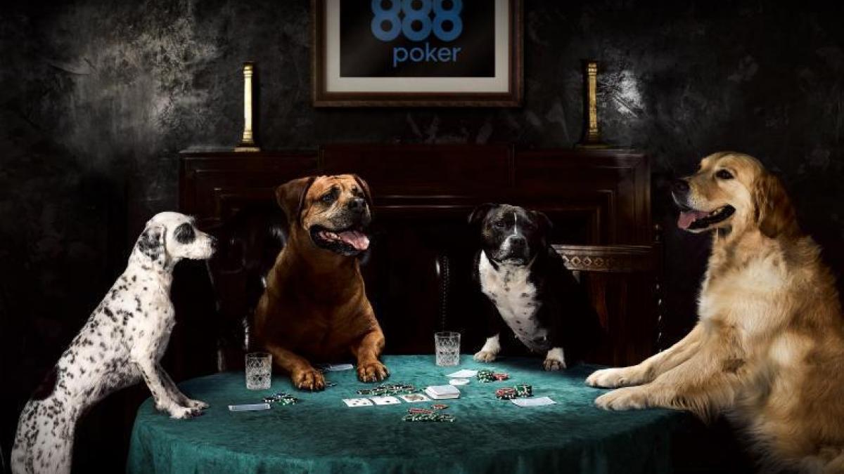 Dogs Playing Poker Olhar Sobre o Clássico 888poker